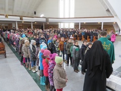 IMG 08231